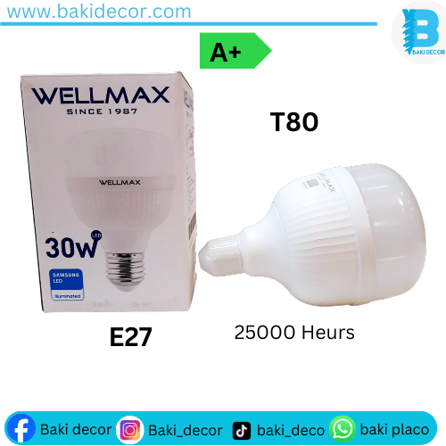 Lampe led T140 wellmax 50w